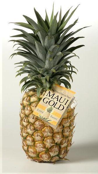 Pineapple lab essay image